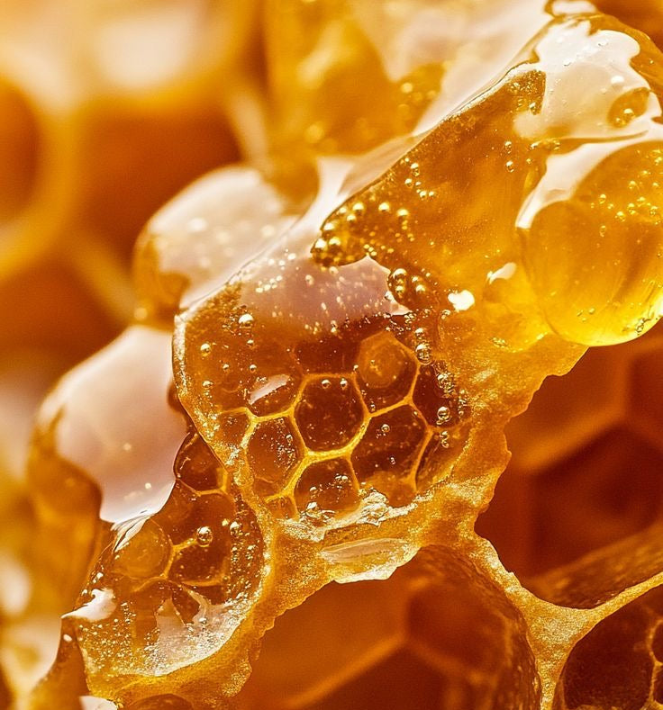 Oilixir 15 ml - Honey