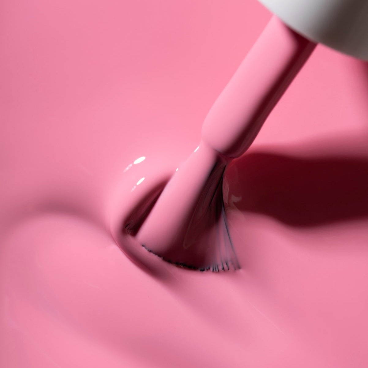 “Laffy Taffy" - Semipermanente HEMA/TPO free