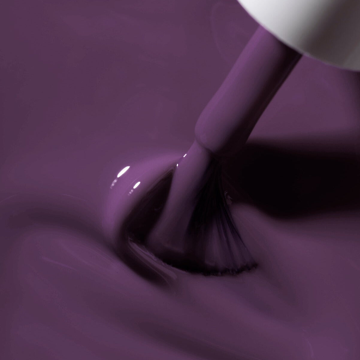 "Midnight Plum" - Semipermanente HEMA/TPO free